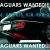  Jaguar XJ6 XJ8 XJR XJS XKR XK8 Are you selling your Jaguar