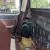 1984 GMC C1500