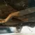 Chevrolet : Chevelle Malibu 2 door