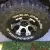 1979 Jeep CJ