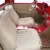 1955 Chevrolet Other Pickups 3100