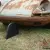 Porsche : 912 Base Coupe 2 Door