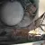 Porsche : 912 Base Coupe 2 Door