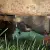 Willys jeep ww2 1942 GPW ford jeep classic car military vehicle barn find