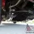 1955 Chevrolet Bel Air/150/210
