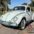 1963 Volkswagen Beetle - Classic Two Tone