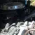 Toyota : Land Cruiser 4X4