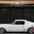 Incredible 1967 Shelby GT500 tribute, Goodguys pro pick!