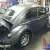 1956 oval window beetle