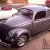 1956 oval window beetle