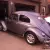 1956 oval window beetle