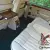 1995 ROLLS ROYCE SILVER SPUR III  LWB