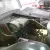 Mercedes-Benz : Other 2-door roadster
