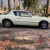 1981 Studebaker Avanti Avanti II  / GM Drive Train