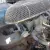 Factory over head cam 6 CYL, 3 SPD Floor shift car