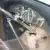 Lincoln : Other Judkins Coachwork