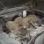 Plymouth : Fury 2 Dr