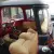 1955 Chevrolet Other Pickups 3100