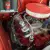 1955 Chevrolet Other Pickups 3100