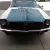 Ford : Mustang Fastback