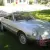 1977 Alfa Romeo Spider