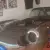1971 Jaguar E Type V12
