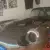 1971 Jaguar E Type V12