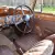 1947 Jaguar MKIV