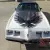 1980 Pontiac Firebird Trans-Am Turbo Indy Pace Car