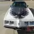 1980 Pontiac Firebird Trans-Am Turbo Indy Pace Car