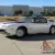 1980 Pontiac Firebird Trans-Am Turbo Indy Pace Car