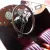 Jaguar : Other SS 100