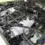  JAGUAR XJ12 HE 1982 48000 miles two previous owners from same family, ex cond. 