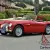 1956 Austin Healey 100-4 BN2 RARE GARAGED ORIG PAINT 100-4 AUSTIN HEALEY BN2