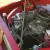 1950 Crosley G80