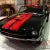 Ford Mustang GT350 Tribute in St Kilda, VIC