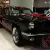 Ford Mustang GT350 Tribute in St Kilda, VIC