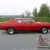 Ford: Torino GT
