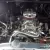 1955 Chevrolet Other Pickups