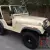 1979 Jeep CJ JEEP CJ 5
