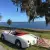 1960 Austin Healey Sprite