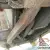 TRIUMPH TR3B RESTORATION PROJECT TCF SERIES CAR UK V5C MATCHING NUMBERS COMPLETE