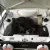  mk 2 escort HARRIER STRIPED, MINT 