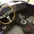 1965 Shelby Cobra