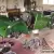  MG TC FOR SALE ,MG TA,PB ,TD ,J2 ,PA, N Type, UNFINISED PROJECTS WANTED , 