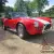 1967 COBRA