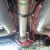 Authentic 1966 Shelby GT350 Carryover Car