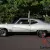 1969 Buick Skylark SPECIAL DELUXE 350