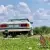 1981 Mercedes-Benz SL 500SL R107 Auto Convertible Petrol Automatic