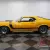 1970 Ford Mustang Boss 302 Tribute